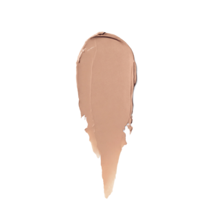 Color Corrector