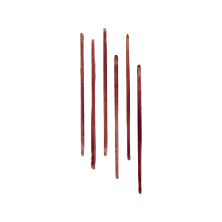 Lip Tint Liner & Sheer Lip Stain