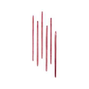 Lip Tint Liner & Sheer Lip Stain, Rosewood (54)