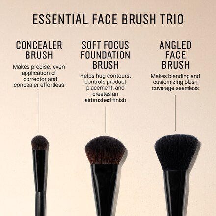 Essential Face Makeup Brush Trio